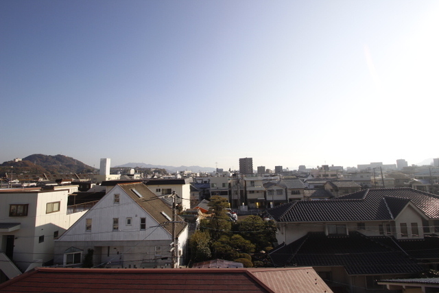 グレイスミウラ