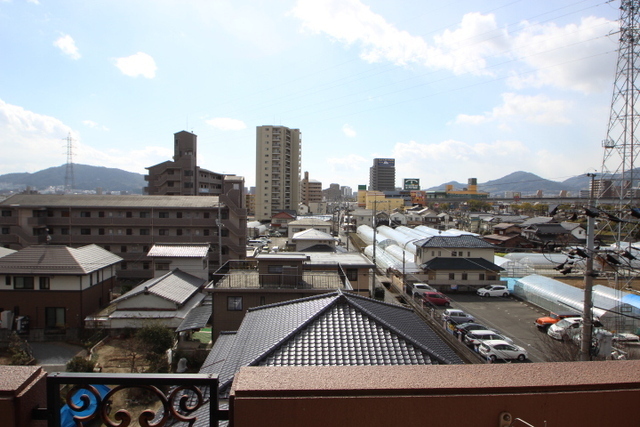 シャルマン財官Ⅲ