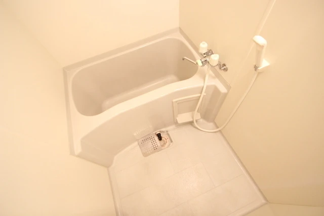 シャルマン財官Ⅲ