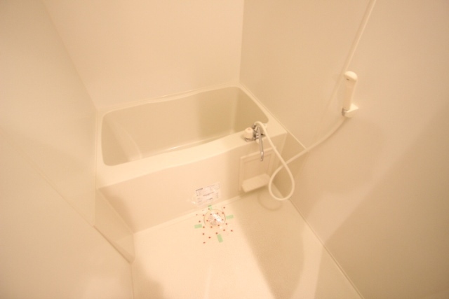 セレッソイシダ