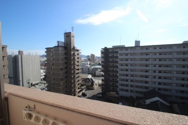 セレッソイシダ