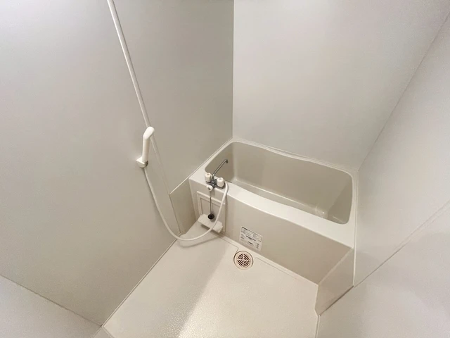 セレッソイシダ