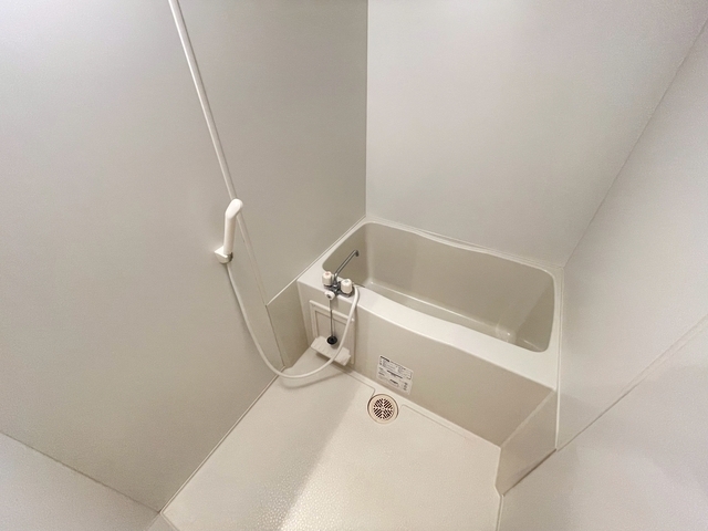 セレッソイシダ