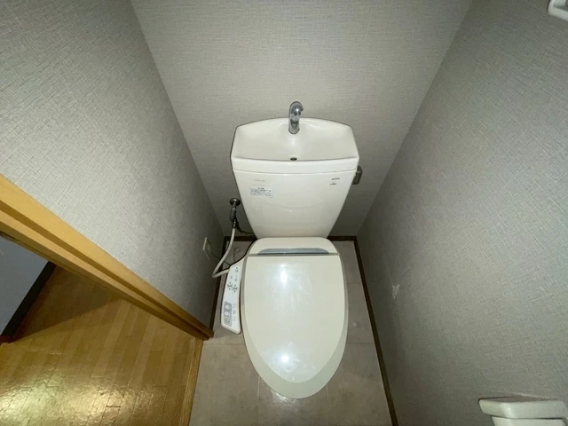 セレッソイシダ