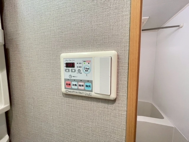 セレッソイシダ