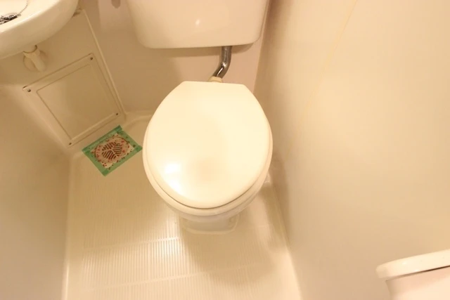 パレグレース仁保