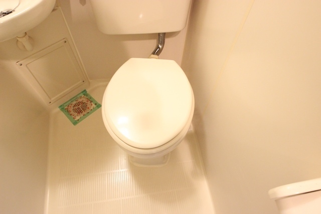 パレグレース仁保