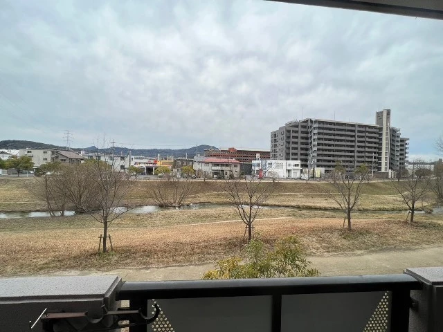 プラムグロウブ