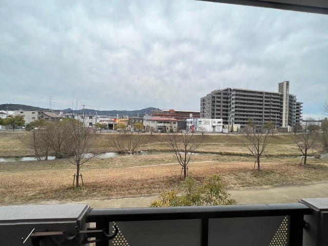 プラムグロウブ