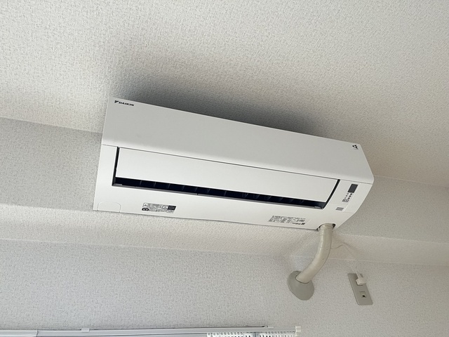 プラムグロウブ