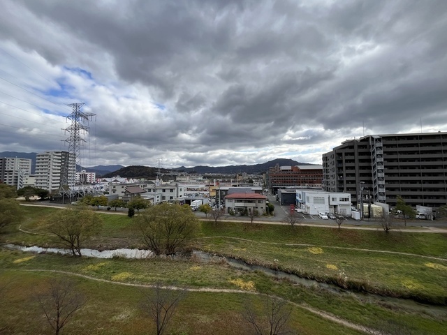 プラムグロウブ