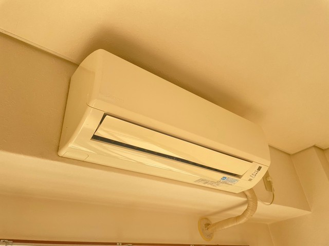 ボー・ソレイユ・オキ