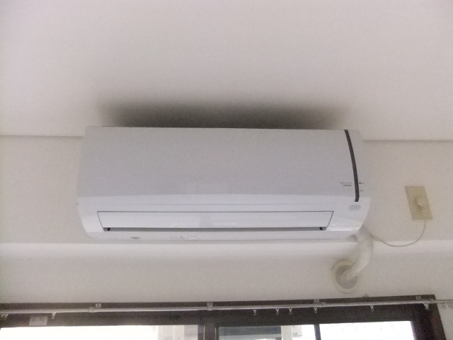 ボー・ソレイユ・オキ