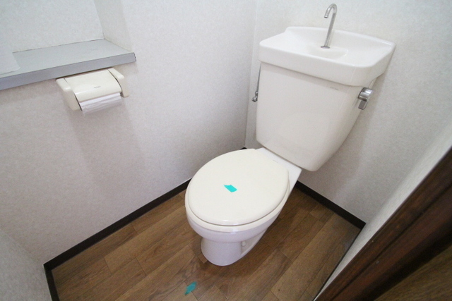 モーニングパーク