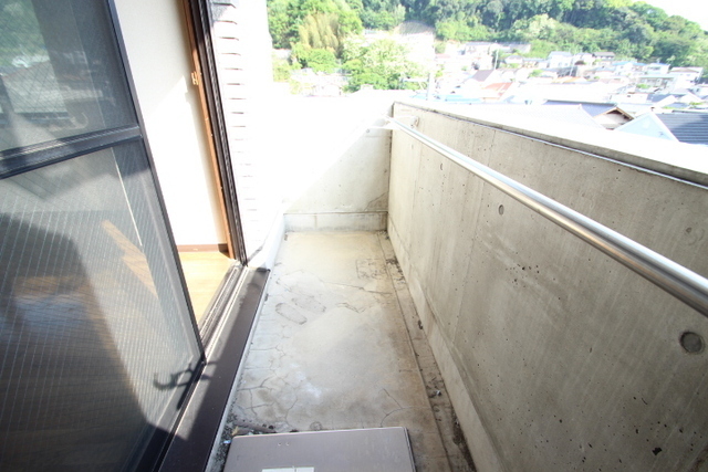 モーニングパーク