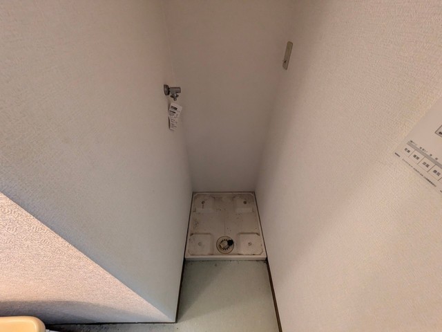 ルネス・スターツ