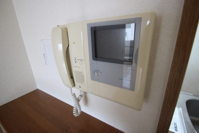 ルネス・スターツ