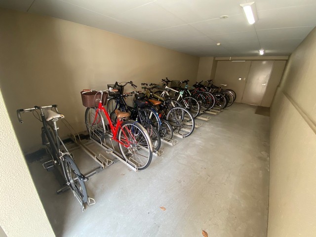 ルネス・スターツ