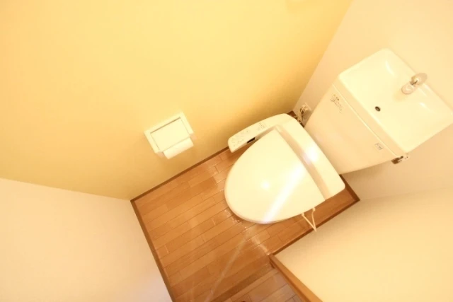 パシフィカコイン通り