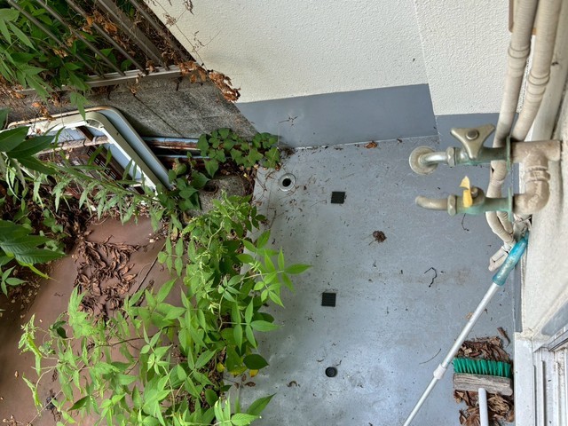 ファミール牛田