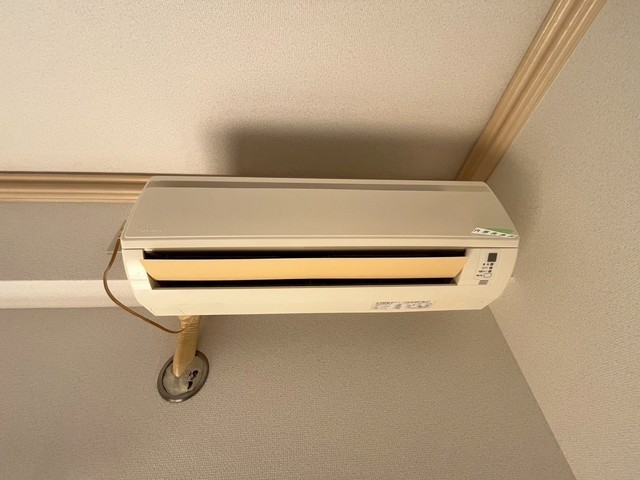 芦屋ビビッド十日市