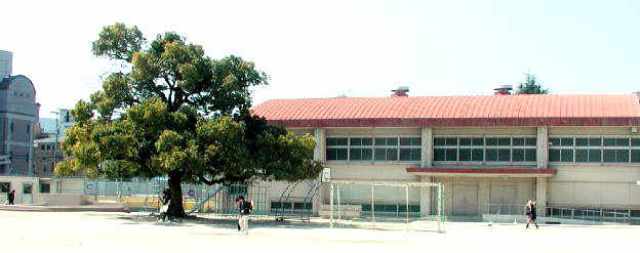 横川アイティービル