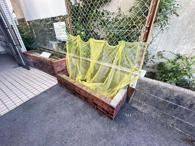 ロイヤルメゾン古江