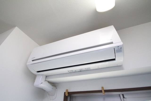 サニーヒルズ大福