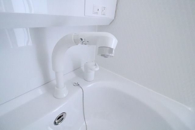 セントポーリア平野町