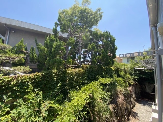 ベルハイム井口鈴が台