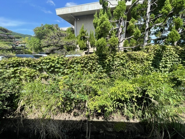 ベルハイム井口鈴が台