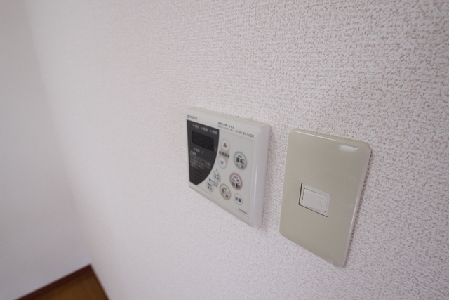 ラフィーネカツタ