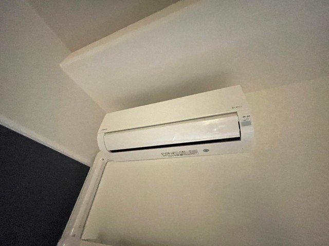 Albero Grande 城北