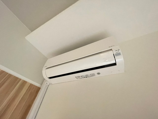 Albero Grande 城北