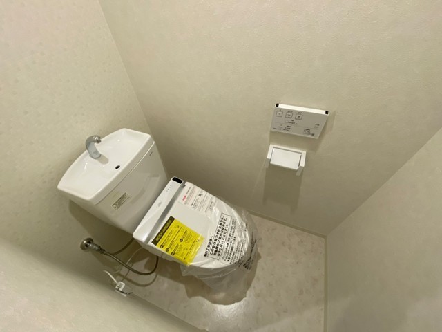 Albero Grande 城北