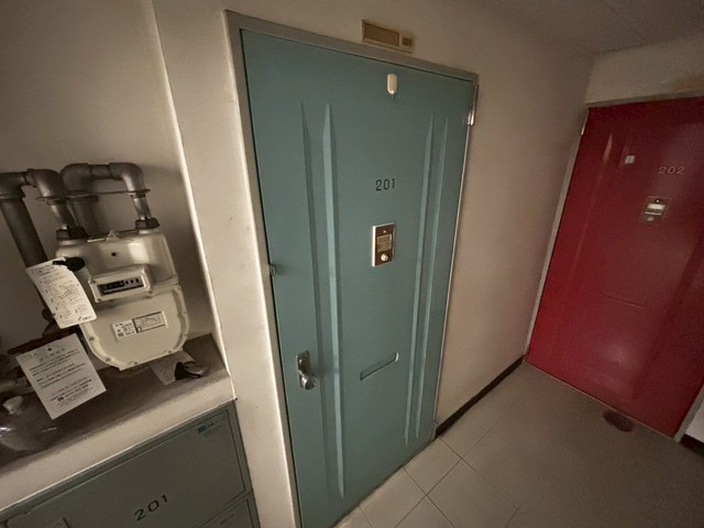 アスプロパラティⅡ