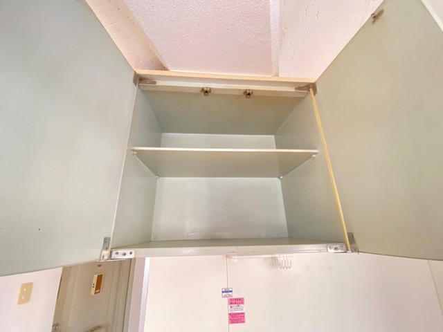 アスプロパラティⅡ