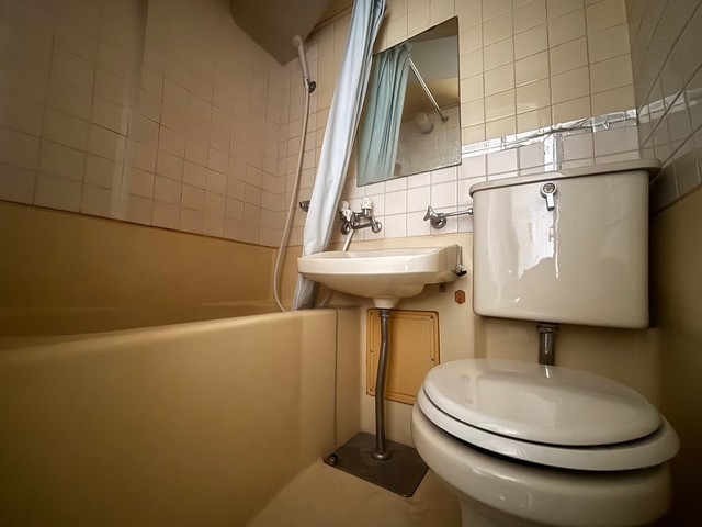 アスプロパラティⅡ