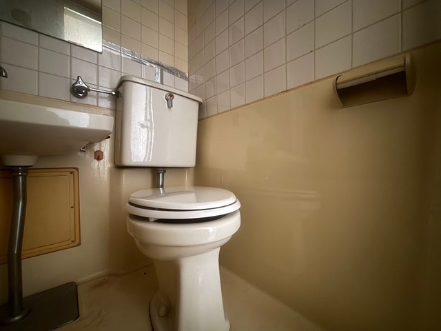 アスプロパラティⅡ