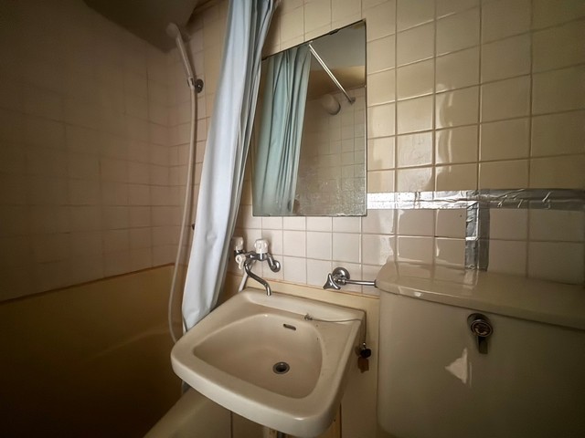 アスプロパラティⅡ