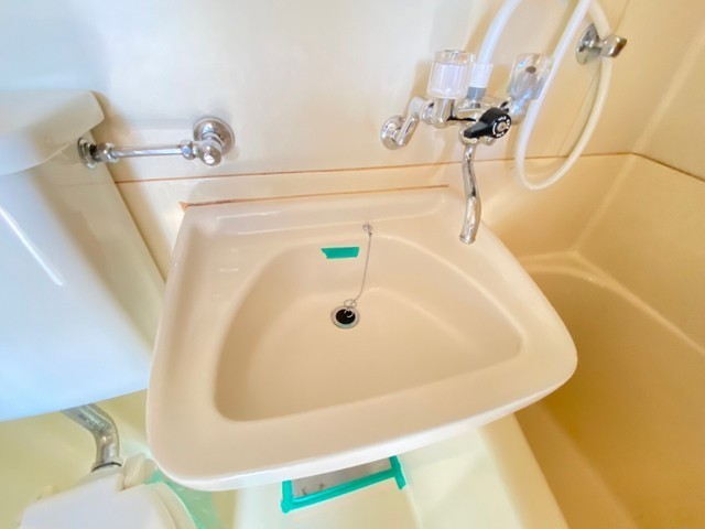 アスプロパラティⅡ