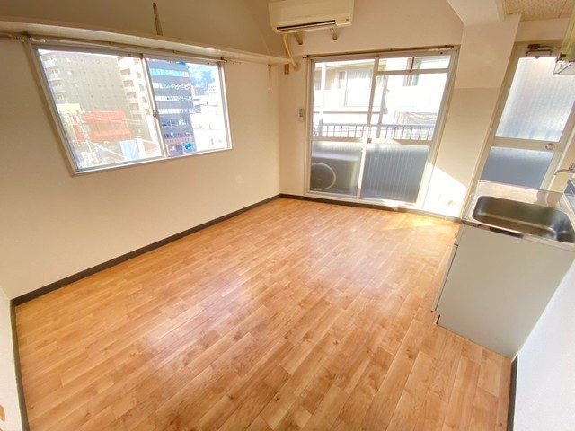 アスプロパラティⅡ