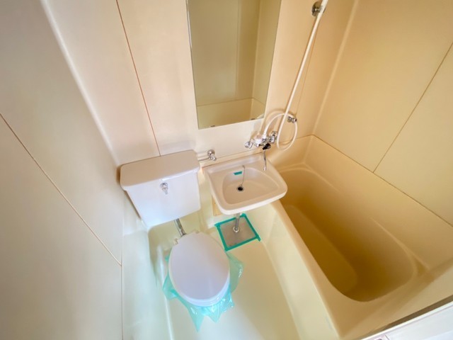 アスプロパラティⅡ