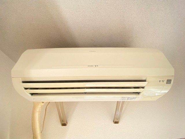 アスプロパラティⅡ