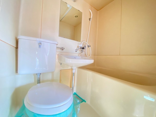 アスプロパラティⅡ