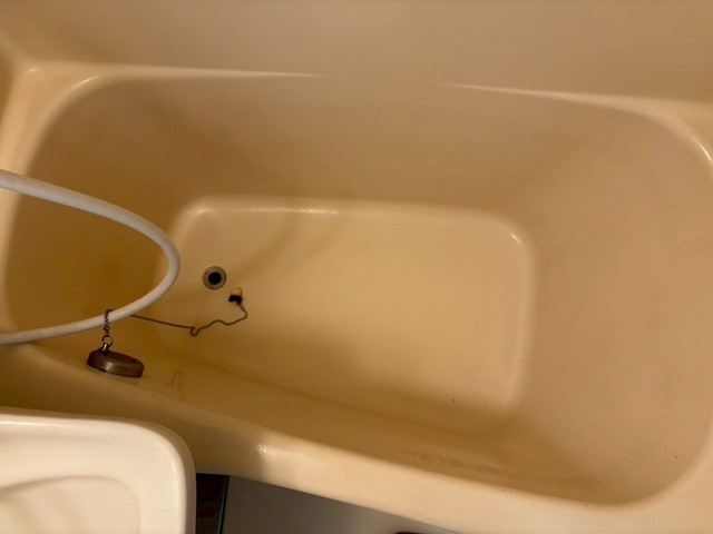 アスプロパラティⅡ