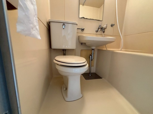 アスプロパラティⅡ