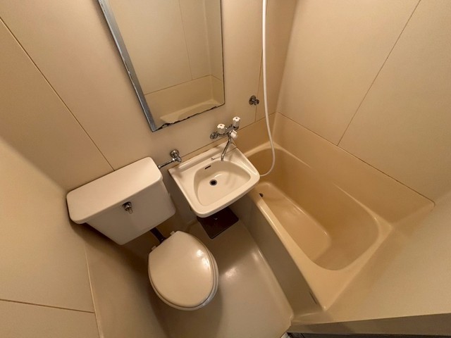 アスプロパラティⅡ