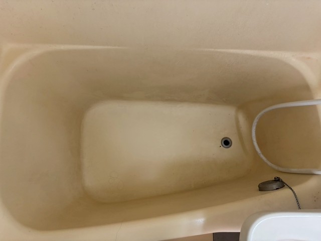 アスプロパラティⅡ