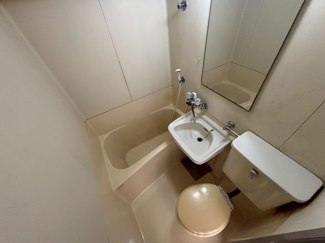 アスプロパラティⅡ